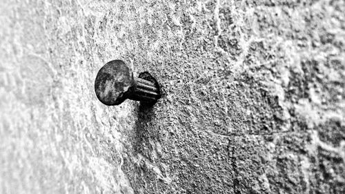 Close-up of metal