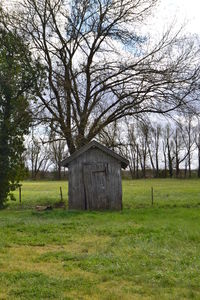Trees on grassy field