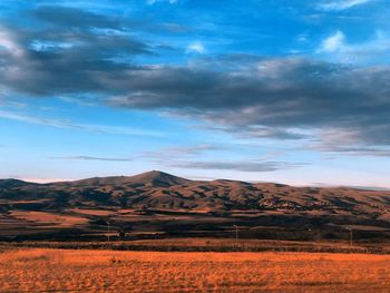 Scenic view of field against sky