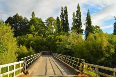 Footbridge amidst trees against sky