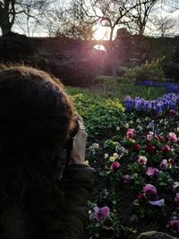 Rear view of woman photographing flowering plants in garden
