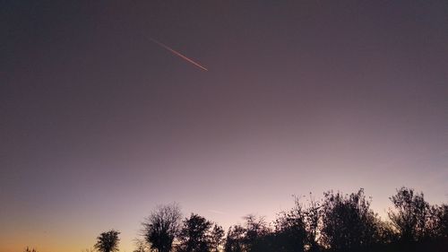 Low angle view of silhouette trees against clear sky