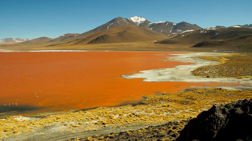 Scenic view of desert against mountain