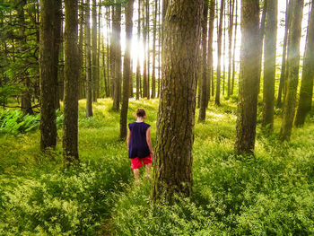 Rear view of woman walking amidst trees and grassy field during sunny day