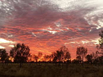 Scenic view of landscape against cloudy sky