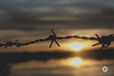 Close-up of barbed wire against sky during sunset