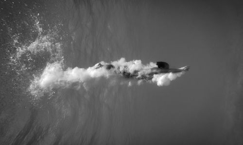 Bird swimming in sea against sky