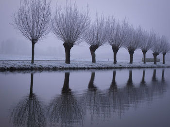 Reflection of bare trees in lake against sky