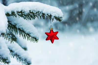 Red christmas tree in snow