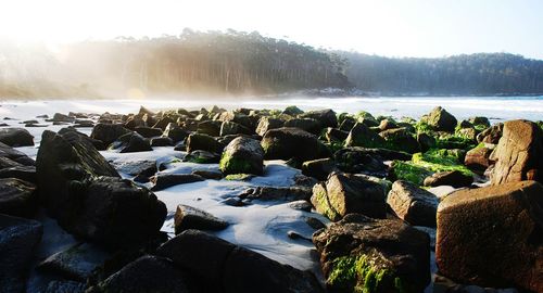 Scenic view of landscape