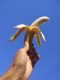 Low angle view of hand holding fruit against clear blue sky