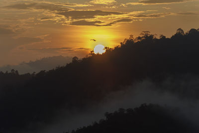 Low angle view of silhouette trees against sky during sunset
