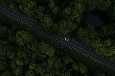 Aerial view of car on road in forest
