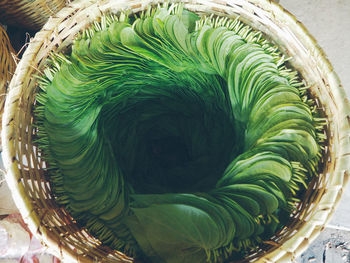 High angle view of betel nut leaves in basket