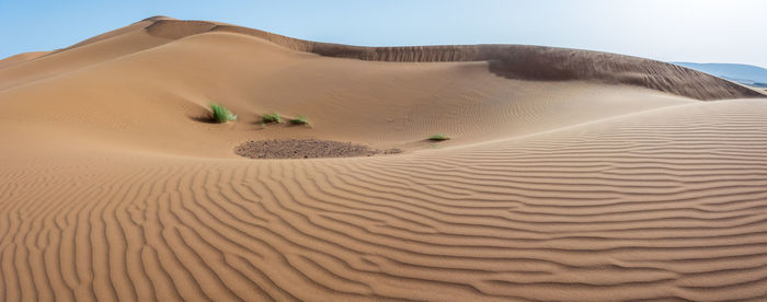 Scenic view of desert against sky