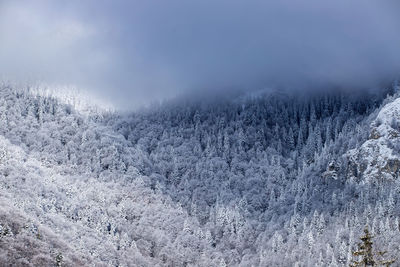 Scenic view of snow covered land against sky