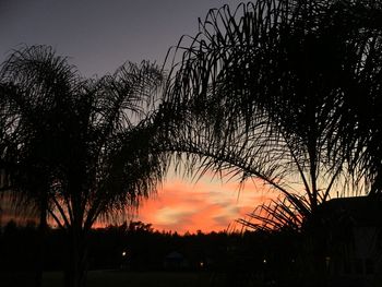 Silhouette trees against sky at sunset
