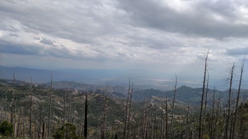 Scenic view of landscape against cloudy sky