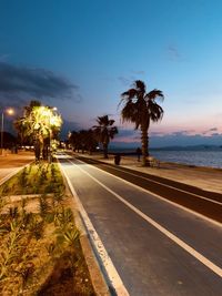 Palm trees by sea against sky in city