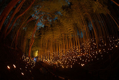 Low angle view of illuminated lights at night