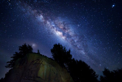 Low angle view of trees against sky at night