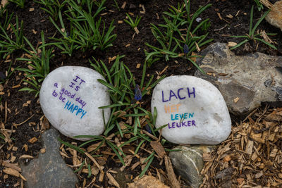 High angle view of text on stone