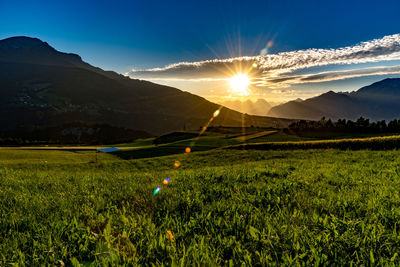 Scenic view of field against sky during sunset