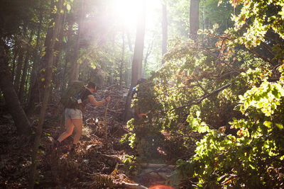People standing by trees in forest