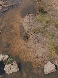 High angle view of rocks by river