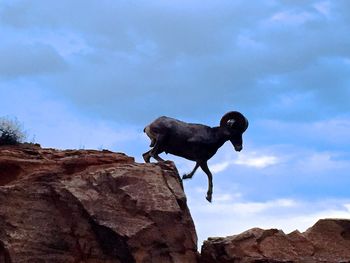 Low angle view of jumping on rock against sky