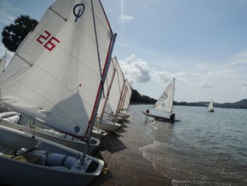 Sailboats sailing in sea against sky