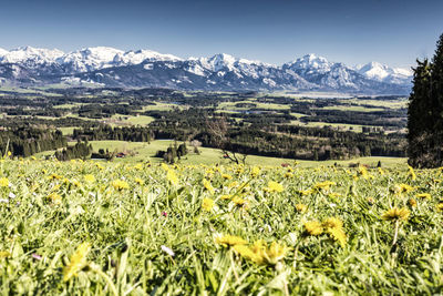 Scenic view of landscape against snowcapped mountains during sunny day