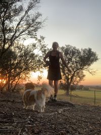 Full length of a dog standing on field