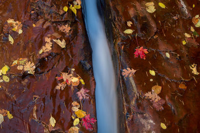 Close-up of water falling on rock during autumn