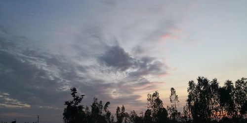 Low angle view of silhouette trees against sky during sunset