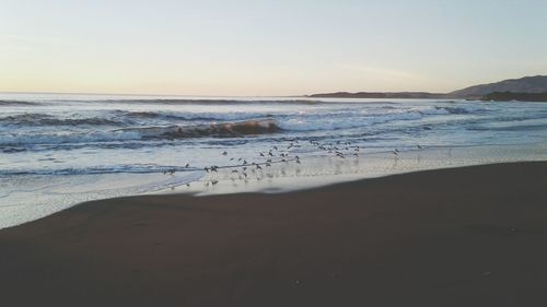 Scenic view of beach against clear sky