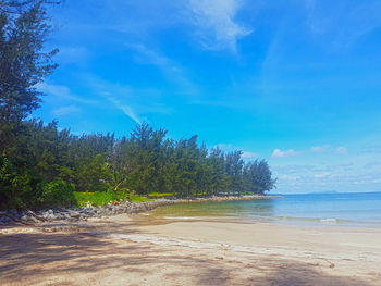 Scenic view of beach against blue sky