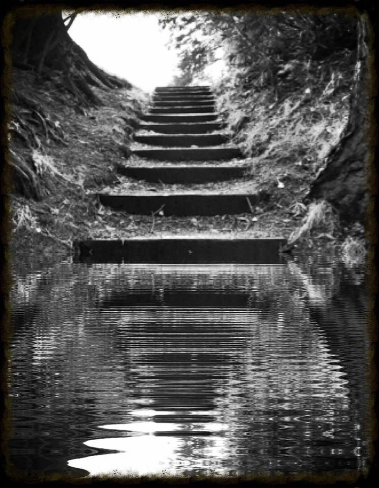 transfer print, water, auto post production filter, built structure, architecture, waterfront, building exterior, steps, day, river, outdoors, reflection, tree, no people, nature, the way forward, rippled, lake, railing, diminishing perspective