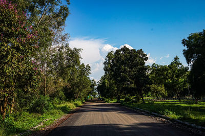 Road amidst trees against clear sky