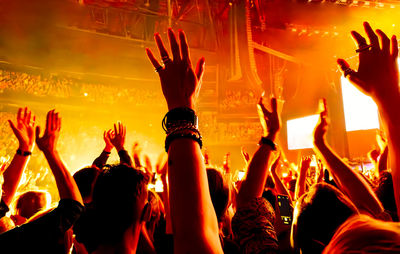 Cheering young people at a rock concert
