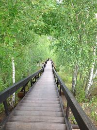 Footbridge in forest