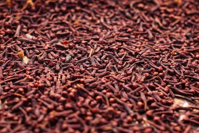 Full frame shot of dried beans