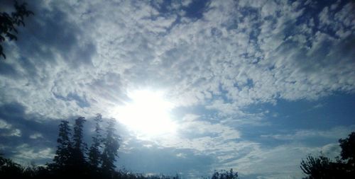 Low angle view of silhouette trees against blue sky