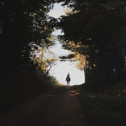 Woman riding horse on road