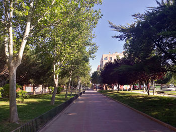Trees in park against sky in city