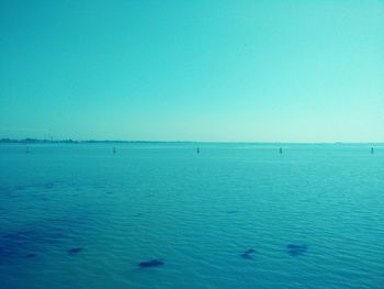 Scenic view of sea against blue sky