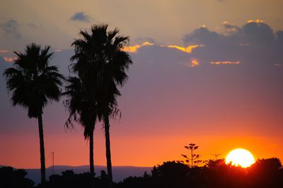 Silhouette palm trees against romantic sky at sunset