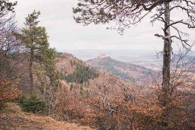 Scenic view of landscape against sky during autumn