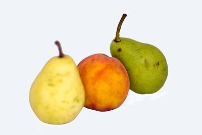 Close-up of apple against white background