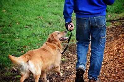 Low section of man with dog